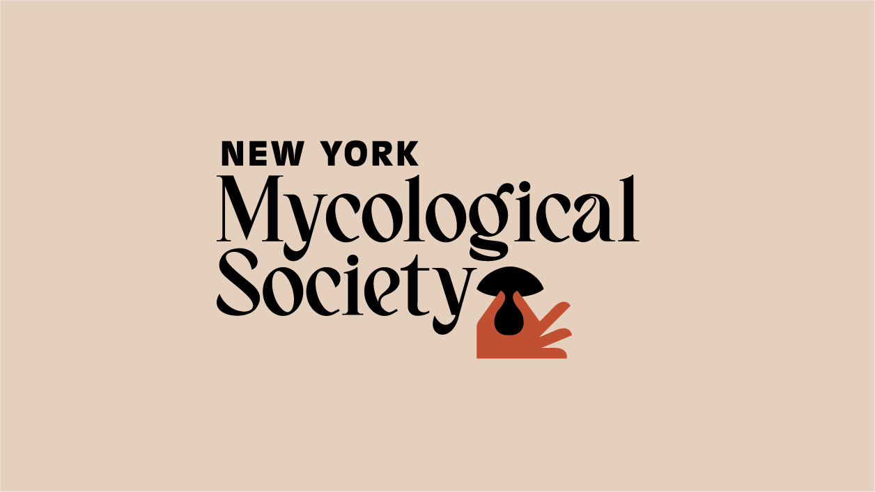 Website and branding for the society of all things fungi